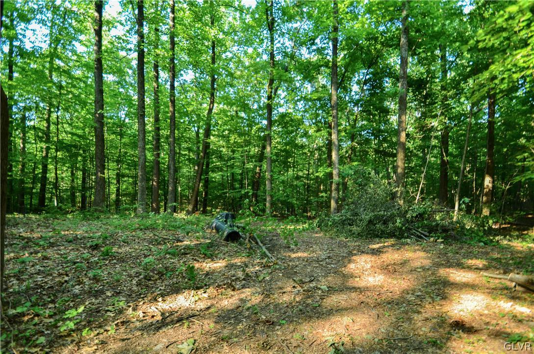 Totts Gap Road Bangor, PA 18013 - Photo 11 of 24 Gallery Image 11