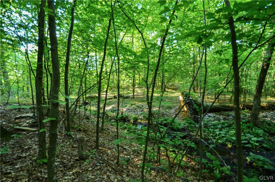Totts Gap Road Bangor, PA 18013 - Photo 12 of 24 Gallery Image 12