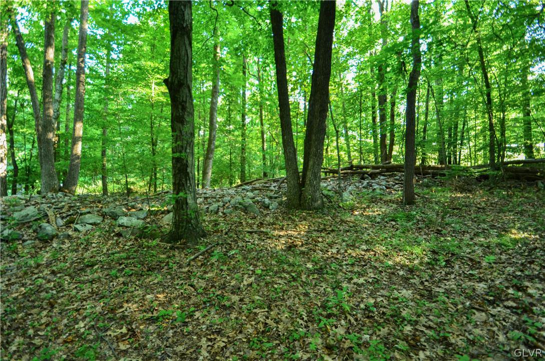 Totts Gap Road Bangor, PA 18013 - Photo 13 of 24 Gallery Image 13