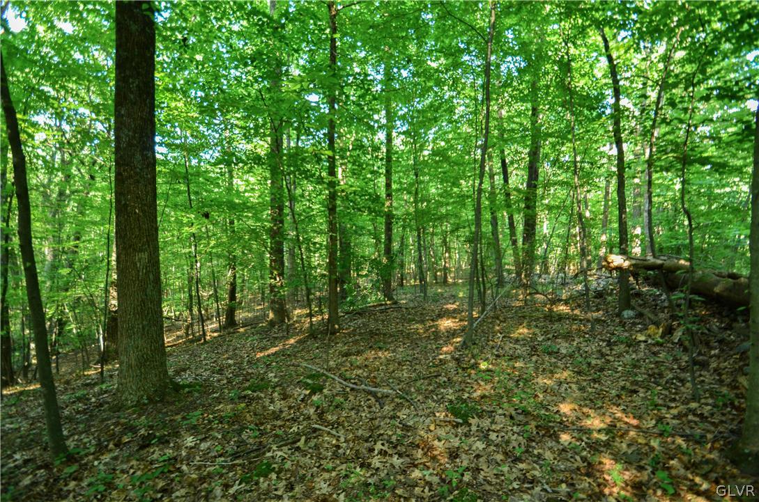 Totts Gap Road Bangor, PA 18013 - Photo 14 of 24 Gallery Image 14