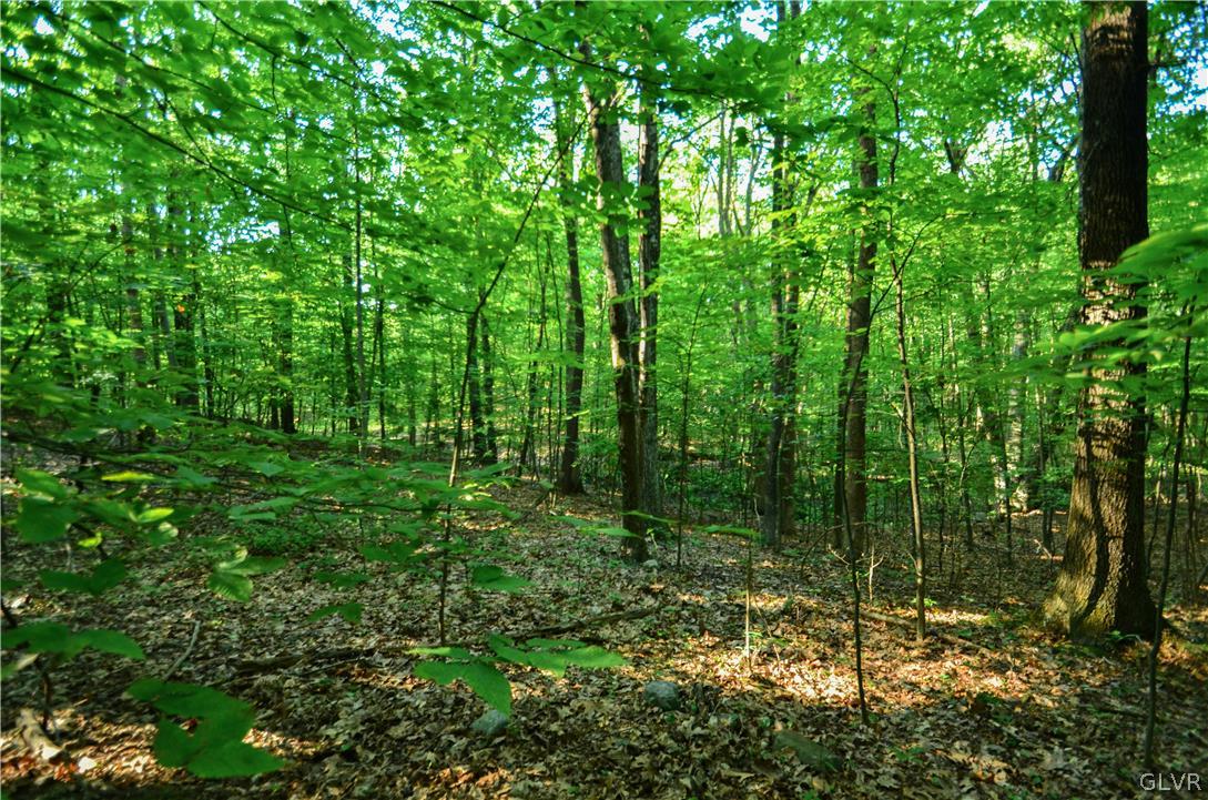 Totts Gap Road Bangor, PA 18013 - Photo 15 of 24 Gallery Image 15