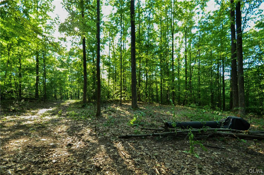 Totts Gap Road Bangor, PA 18013 - Photo 16 of 24 Gallery Image 16