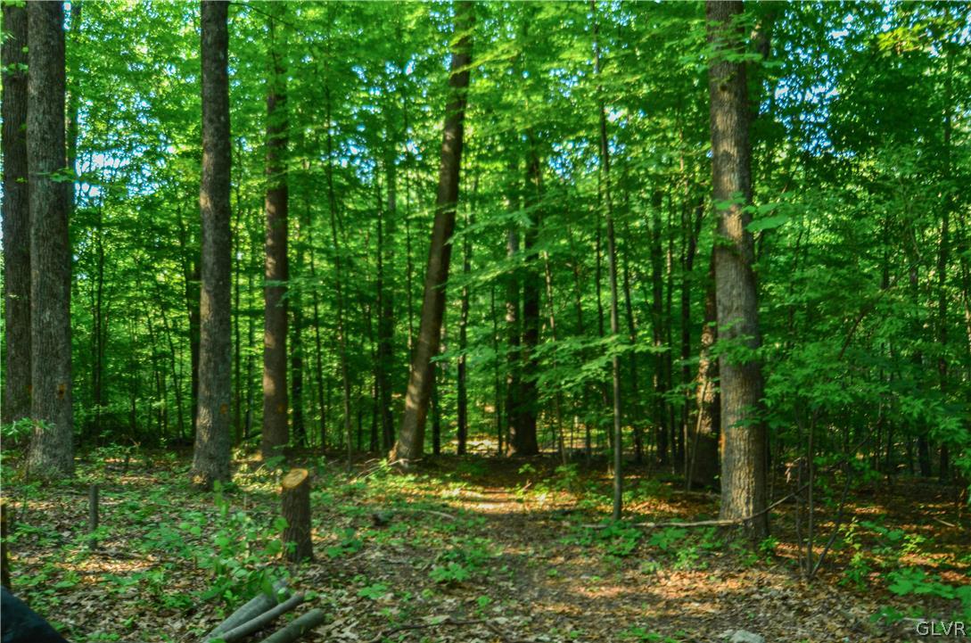 Totts Gap Road Bangor, PA 18013 - Photo 17 of 24 Gallery Image 17