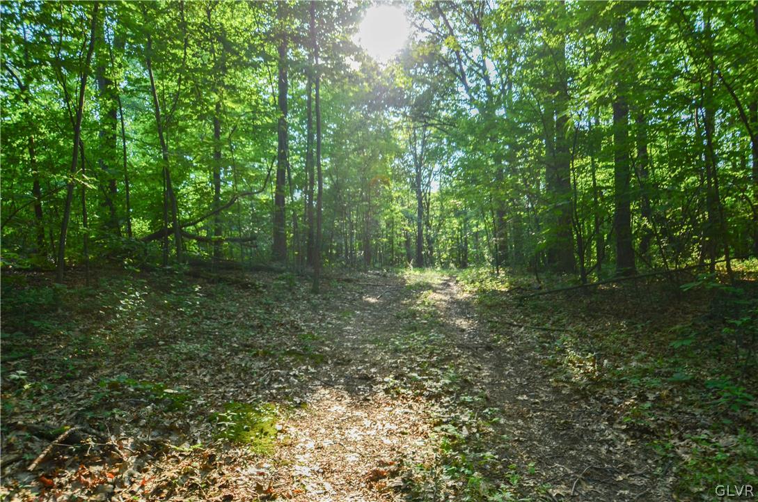 Totts Gap Road Bangor, PA 18013 - Photo 18 of 24 Gallery Image 18