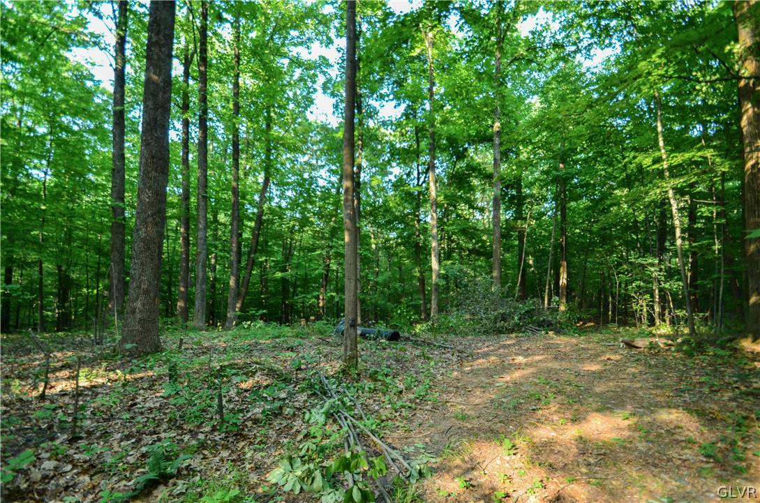 Totts Gap Road Bangor, PA 18013 - Photo 19 of 24 Gallery Image 19