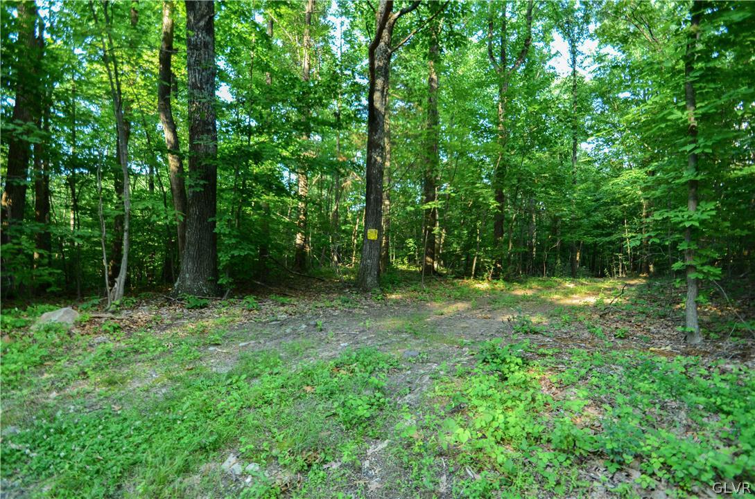 Totts Gap Road Bangor, PA 18013 - Photo 20 of 24 Gallery Image 20