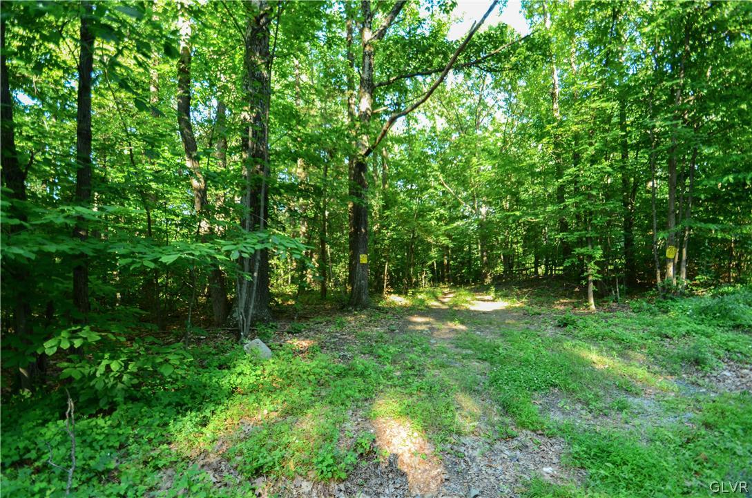 Totts Gap Road Bangor, PA 18013 - Photo 2 of 24 Gallery Image 2