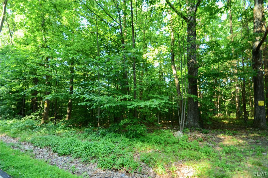Totts Gap Road Bangor, PA 18013 - Photo 21 of 24 Gallery Image 21