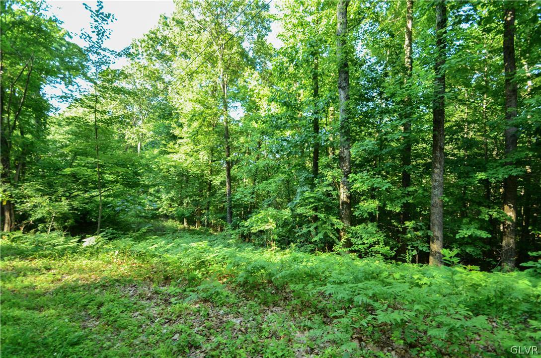 Totts Gap Road Bangor, PA 18013 - Photo 22 of 24 Gallery Image 22