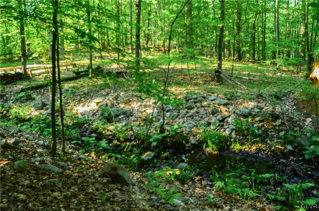 Totts Gap Road Bangor, PA 18013 - Photo 6 of 24 Gallery Image 6