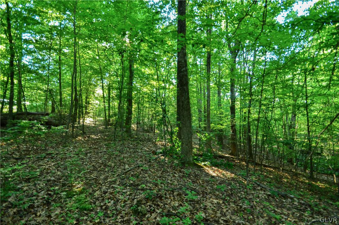 Totts Gap Road Bangor, PA 18013 - Photo 7 of 24 Gallery Image 7