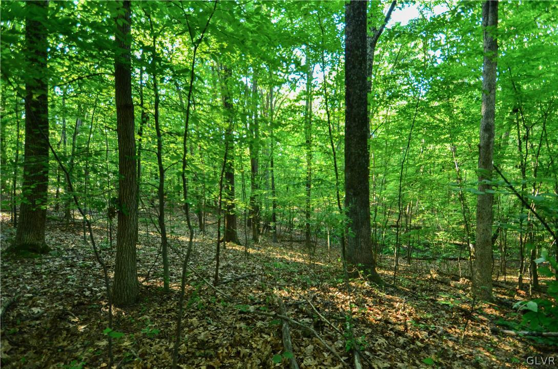 Totts Gap Road Bangor, PA 18013 - Photo 8 of 24 Gallery Image 8