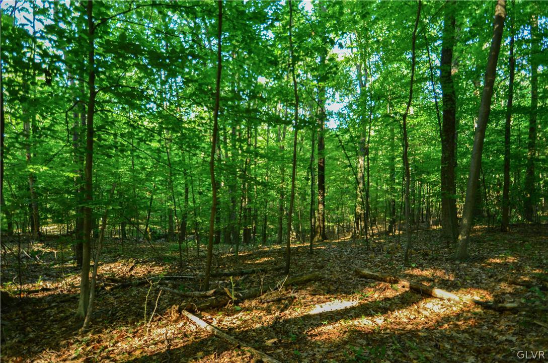 Totts Gap Road Bangor, PA 18013 - Photo 9 of 24 Gallery Image 9