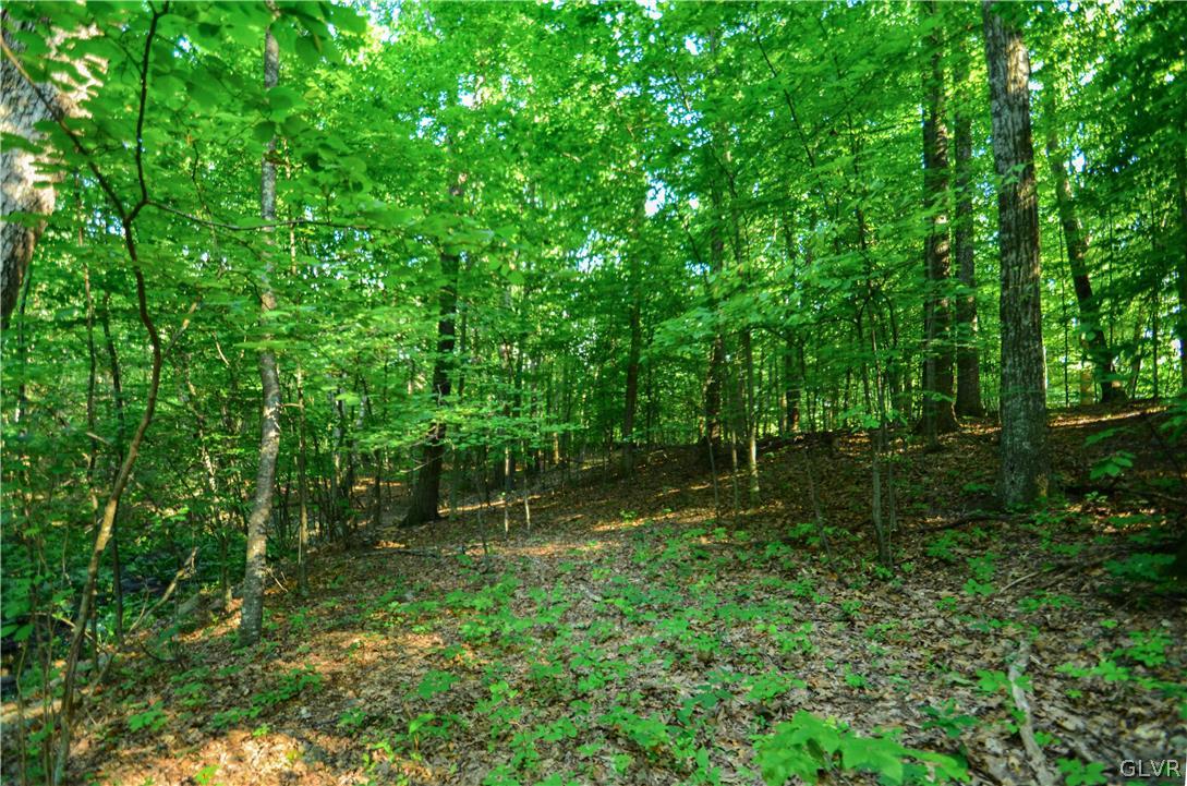 Totts Gap Road Bangor, PA 18013 - Photo 10 of 24 Gallery Image 10