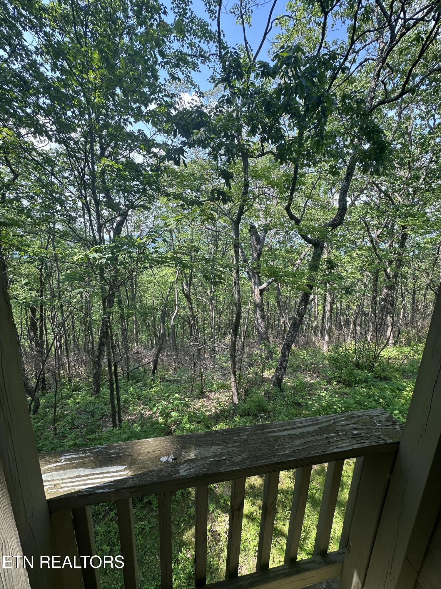 365 Moytoy Road, Unit 103 Crab Orchard, TN 37723 - Photo 28 of 42 IMG_7415