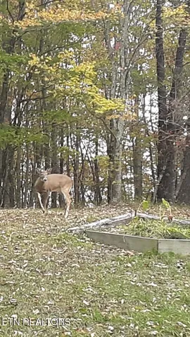 $104,000 | 365 Moytoy Road, Unit 103, Crab Orchard, TN 37723