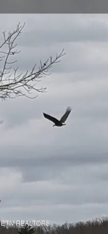 $104,000 | 365 Moytoy Road, Unit 103, Crab Orchard, TN 37723