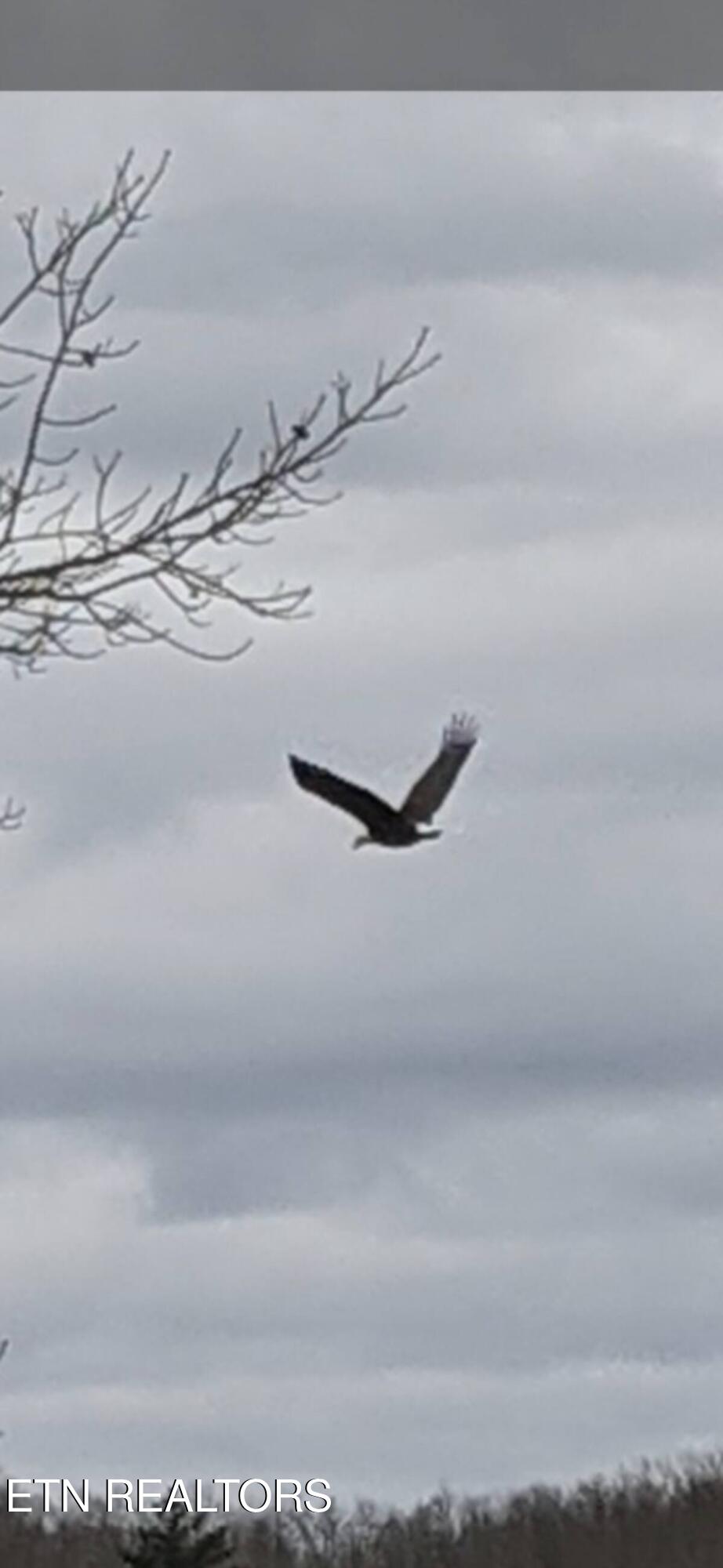 365 Moytoy Road, Unit 103 Crab Orchard, TN 37723 - Photo 38 of 42 jack r