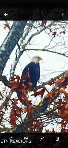 $104,000 | 365 Moytoy Road, Unit 103, Crab Orchard, TN 37723