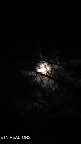 $104,000 | 365 Moytoy Road, Unit 103, Crab Orchard, TN 37723