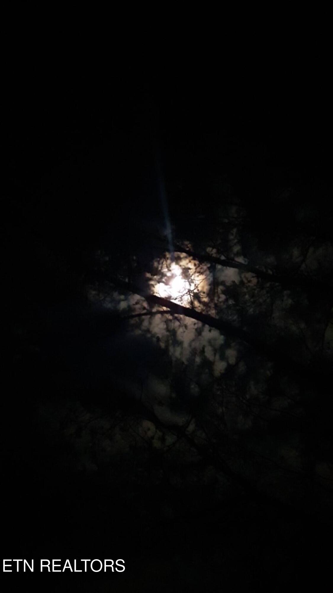 365 Moytoy Road, Unit 103 Crab Orchard, TN 37723 - Photo 41 of 42 jack v