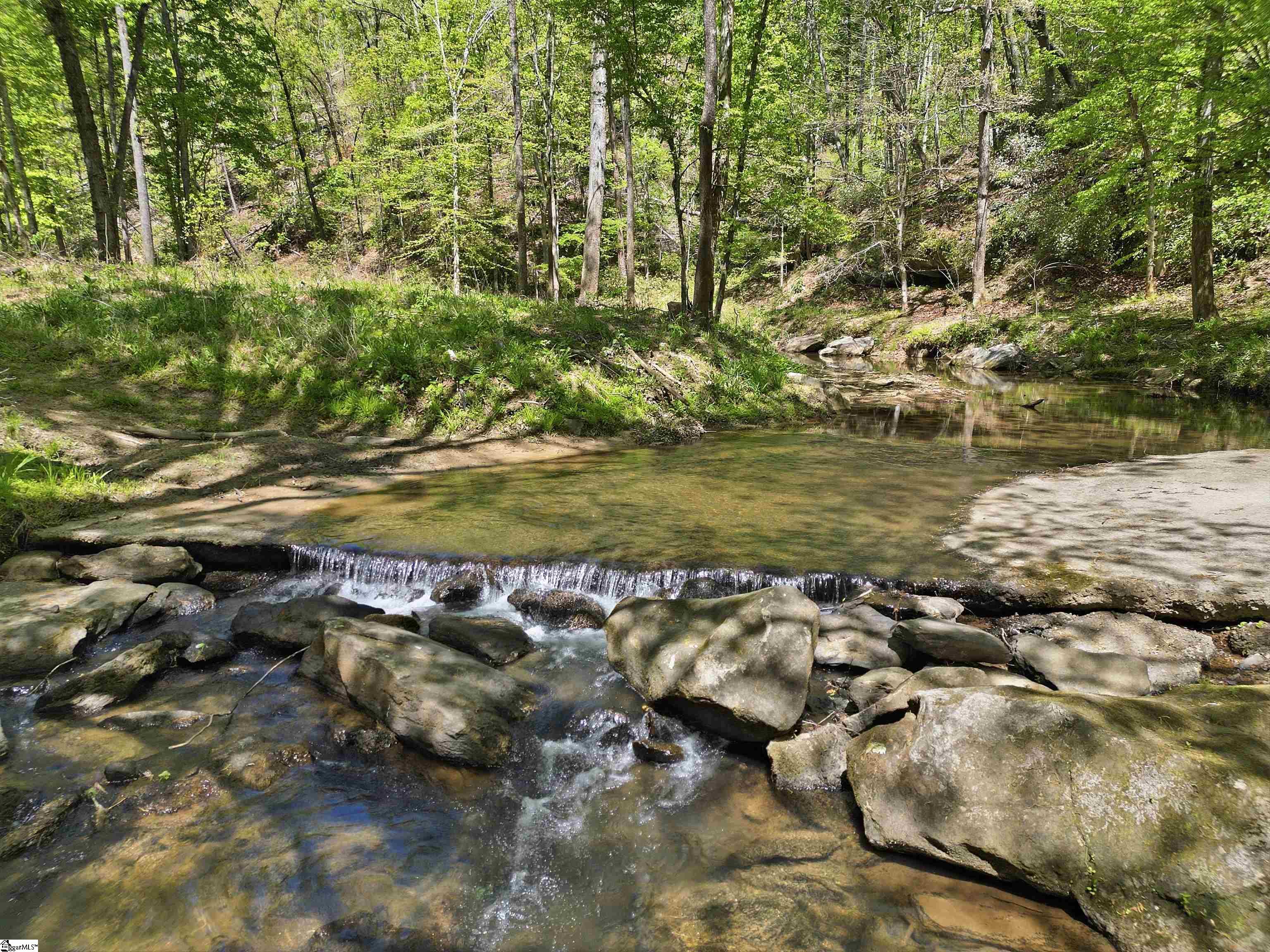723 North Highland Road Mill Spring, NC 28756 - Photo 46 of 50