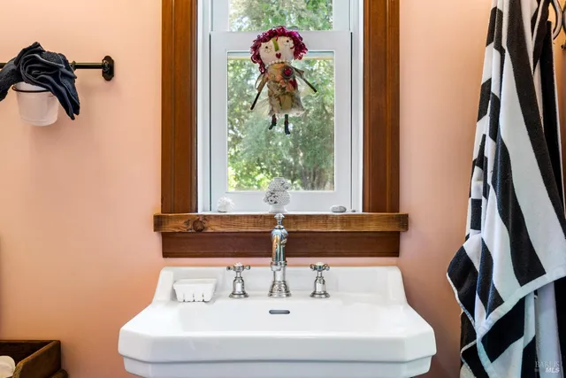 a picture of flowers