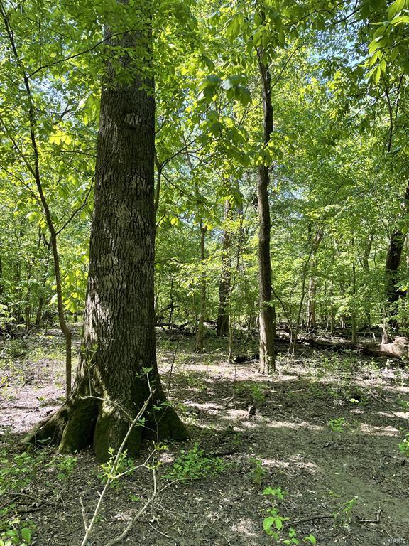 0 Old Carlyle Road Breese, IL 62230 - Photo 22 of 28