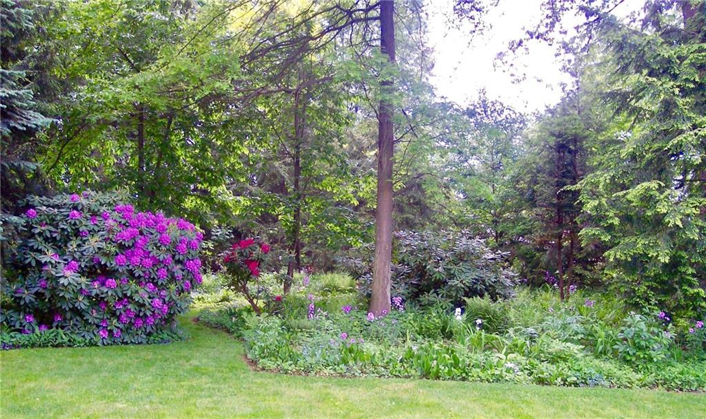 9621 Hilliard Road Pittsburgh, PA 15237 - Photo 20 of 25 Lovely treed back yard