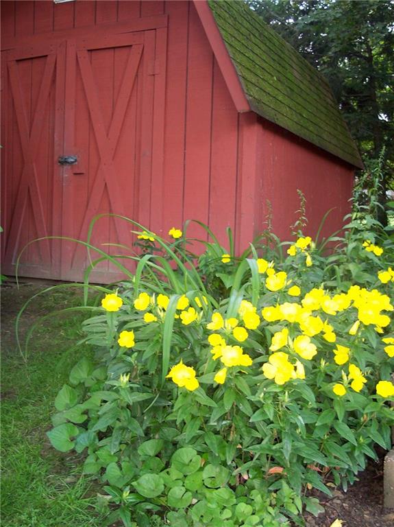 9621 Hilliard Road Pittsburgh, PA 15237 - Photo 25 of 25 Store all of your yard tools in here!