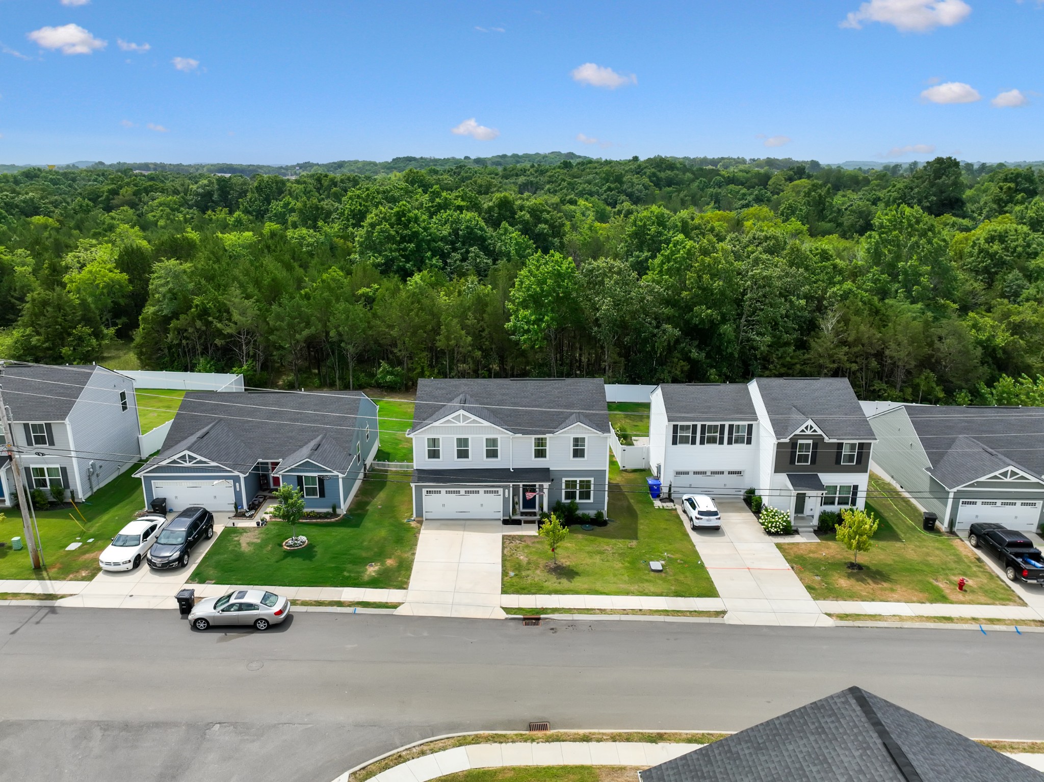 1718 Quail Run Way Spring Hill Spring Hill, TN 37174 - Photo 36 of 40