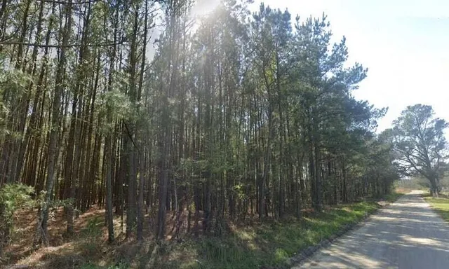 $165,000 | 0 Bonanza Drive, Eutawville, SC 29048