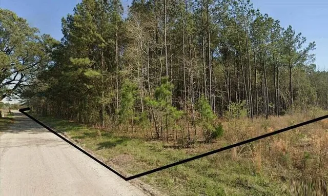 $165,000 | 0 Bonanza Drive, Eutawville, SC 29048