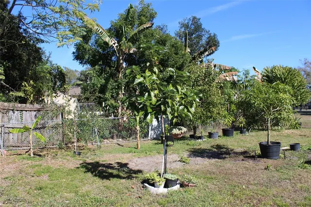 a backyard of a house with lots of green space