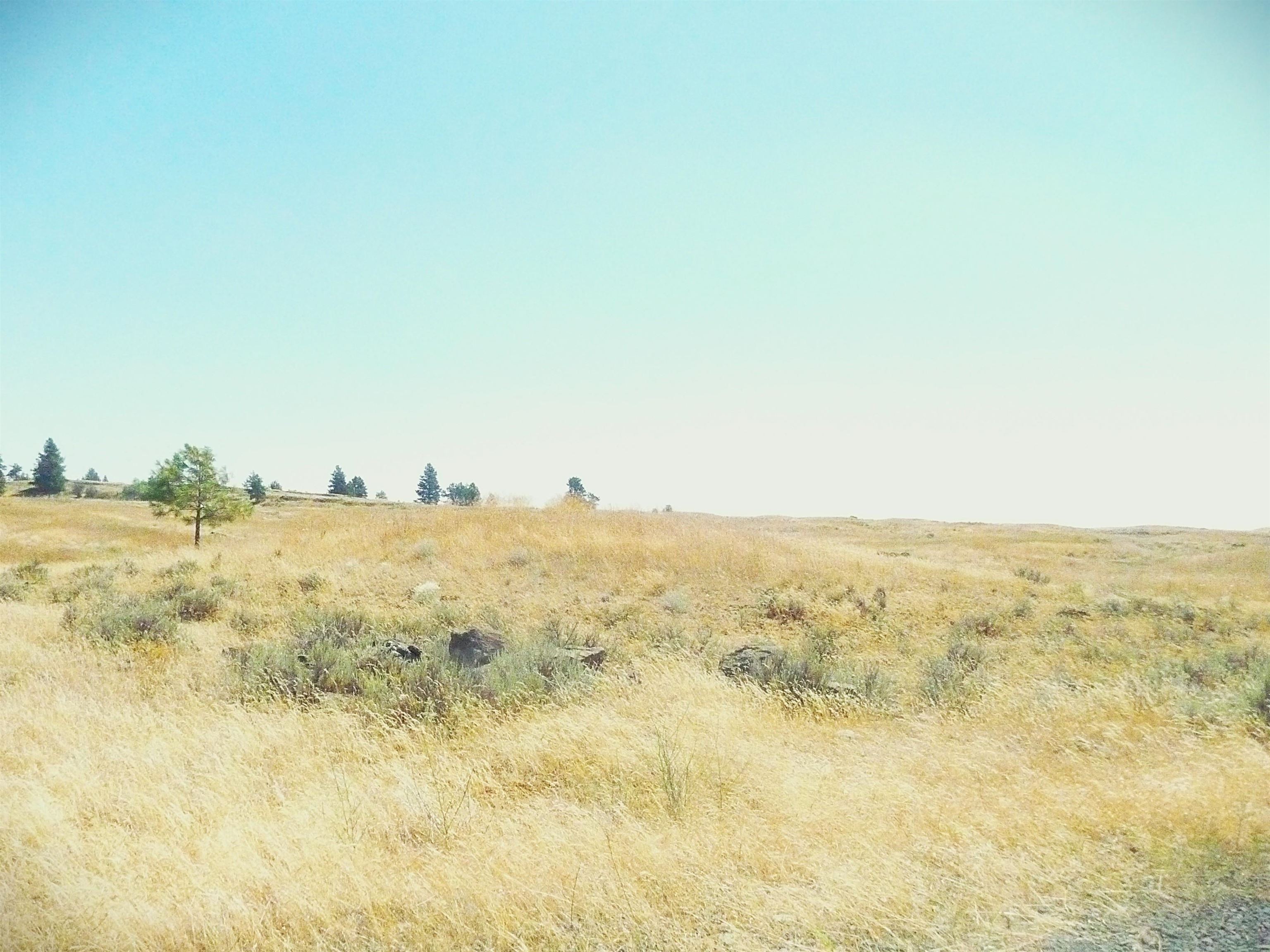 0000 West Williams Lake Road Cheney, WA 99004 - Photo 7 of 11