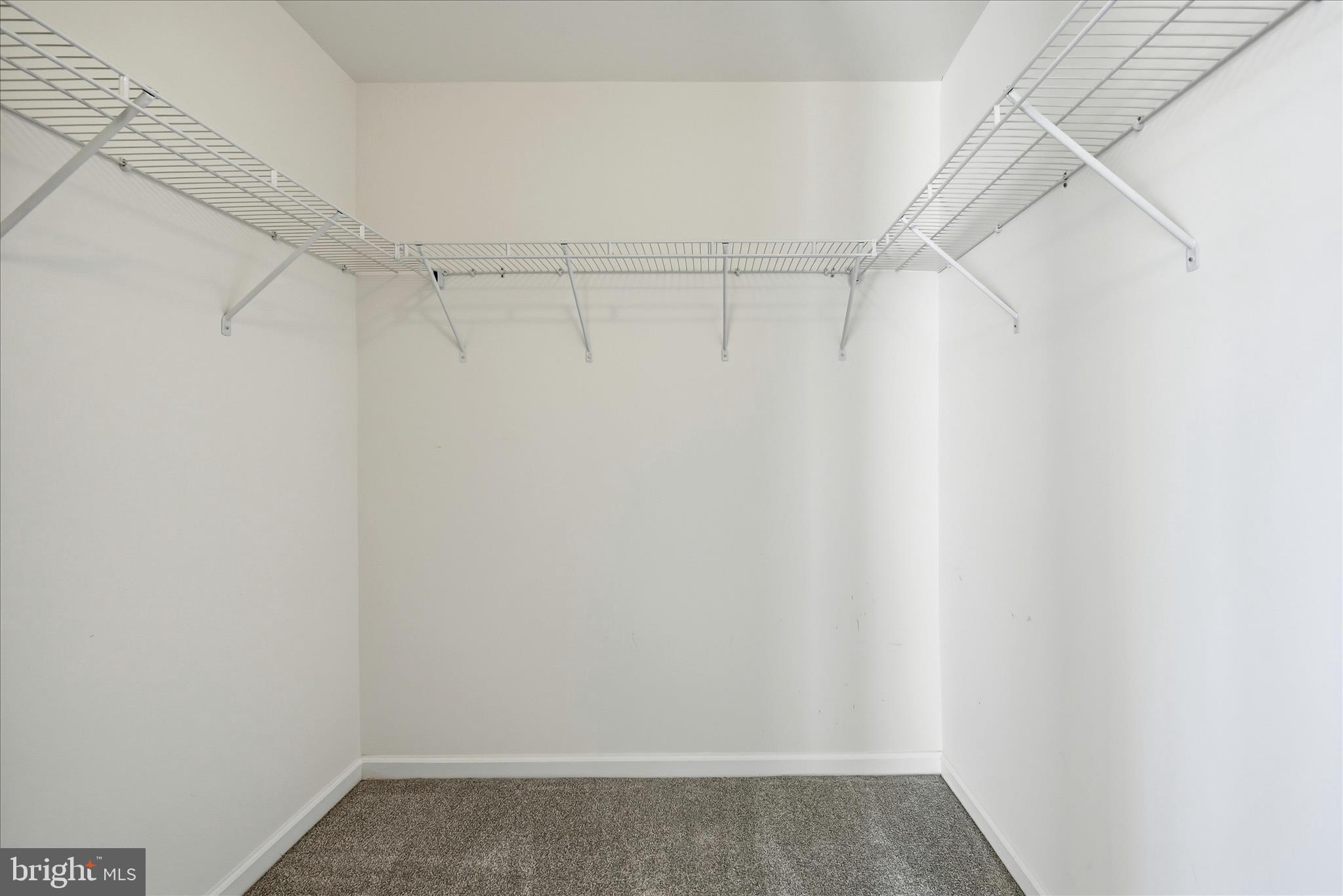 156 Solara Drive Winchester, VA 22602 - Photo 32 of 62 Closet