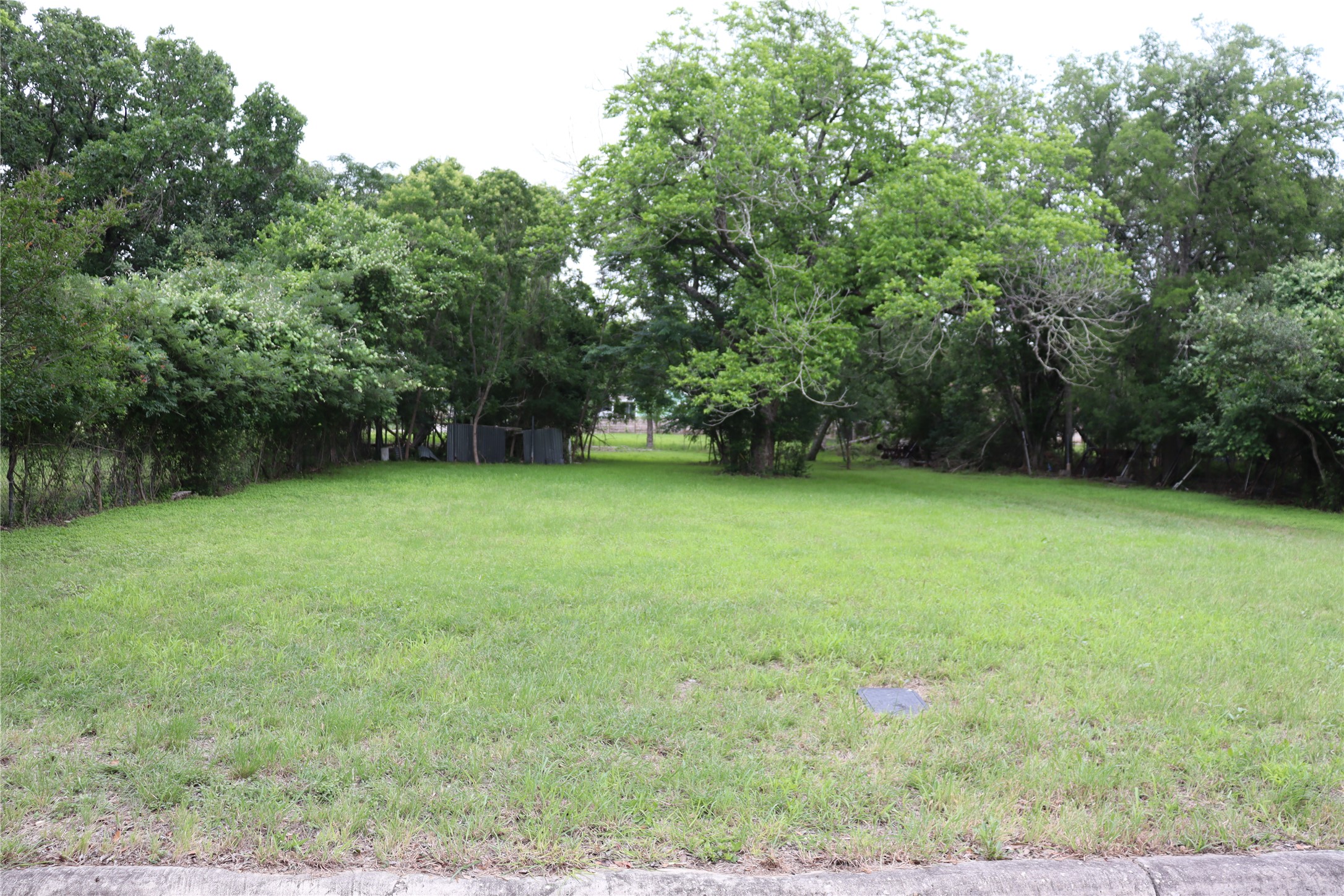 1006 Johnson Street Lockhart, TX 78644 - Photo 2 of 10 Expansive grassy lot bordered by mature trees