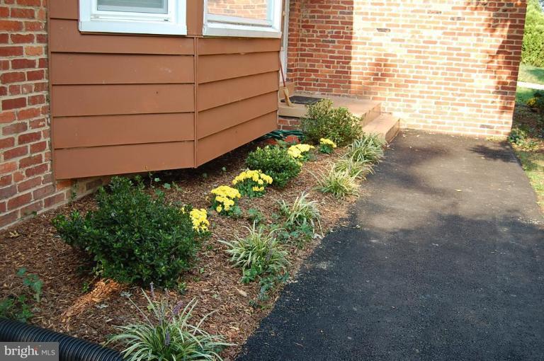 1232 Kathryn Road Silver Spring, MD 20904 - Photo 3 of 17 Garden