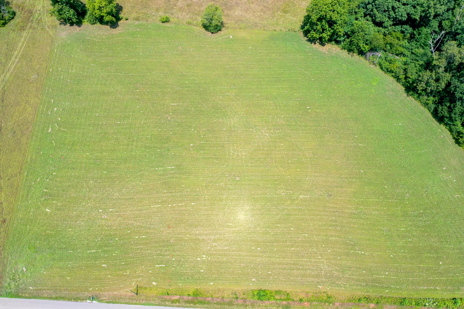 3631 Peterson Road Greenback, TN 37742 - Photo 6 of 12 Photo 6