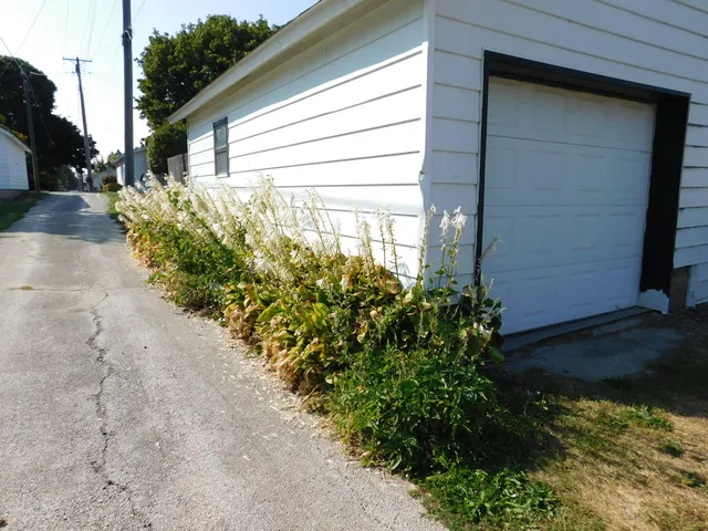 a plant that is in front of a house