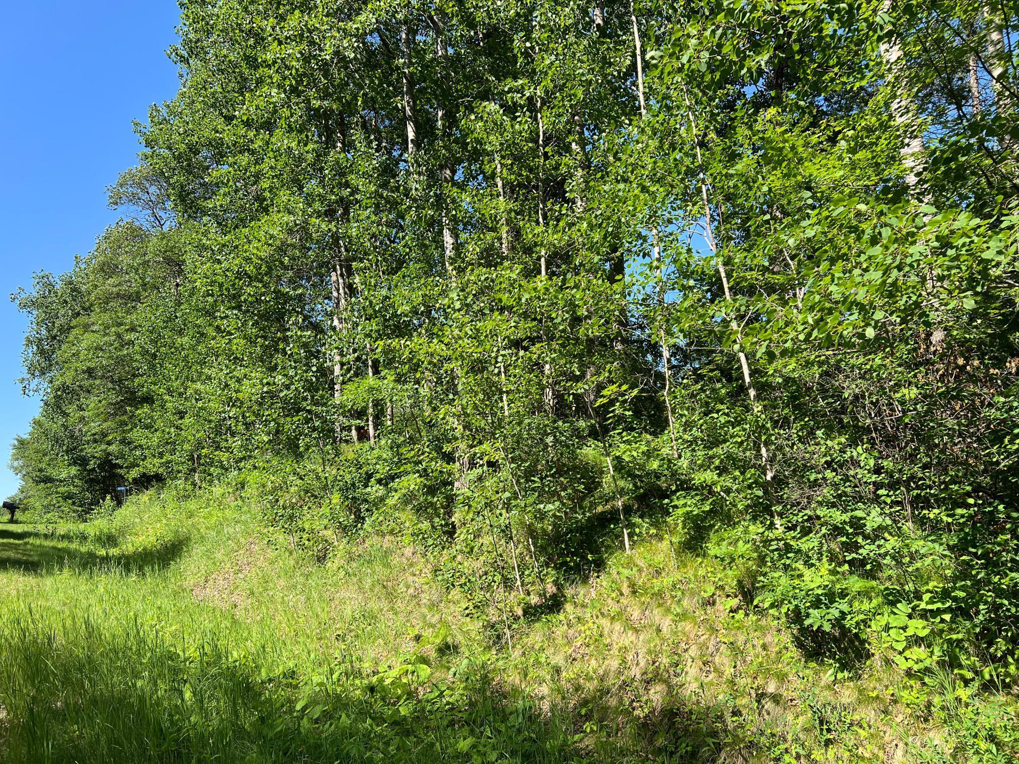 Lot 8 Terminal Road Breezy Point, MN 56472 - Photo 6 of 14