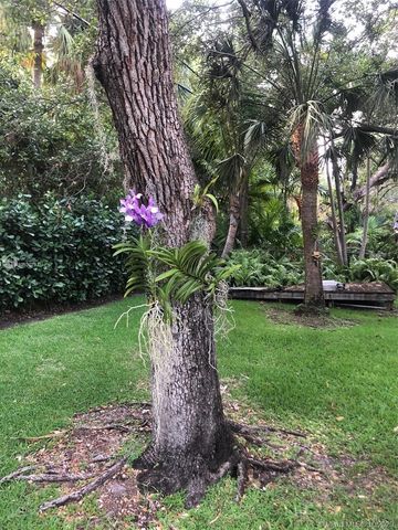 a view of a garden with plants and trees