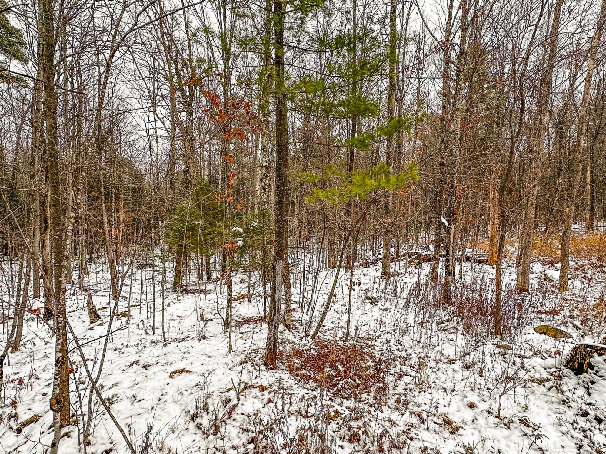 N10660 Tower Road Phillips, WI 54555 - Photo 9 of 53 Gallery Image 9