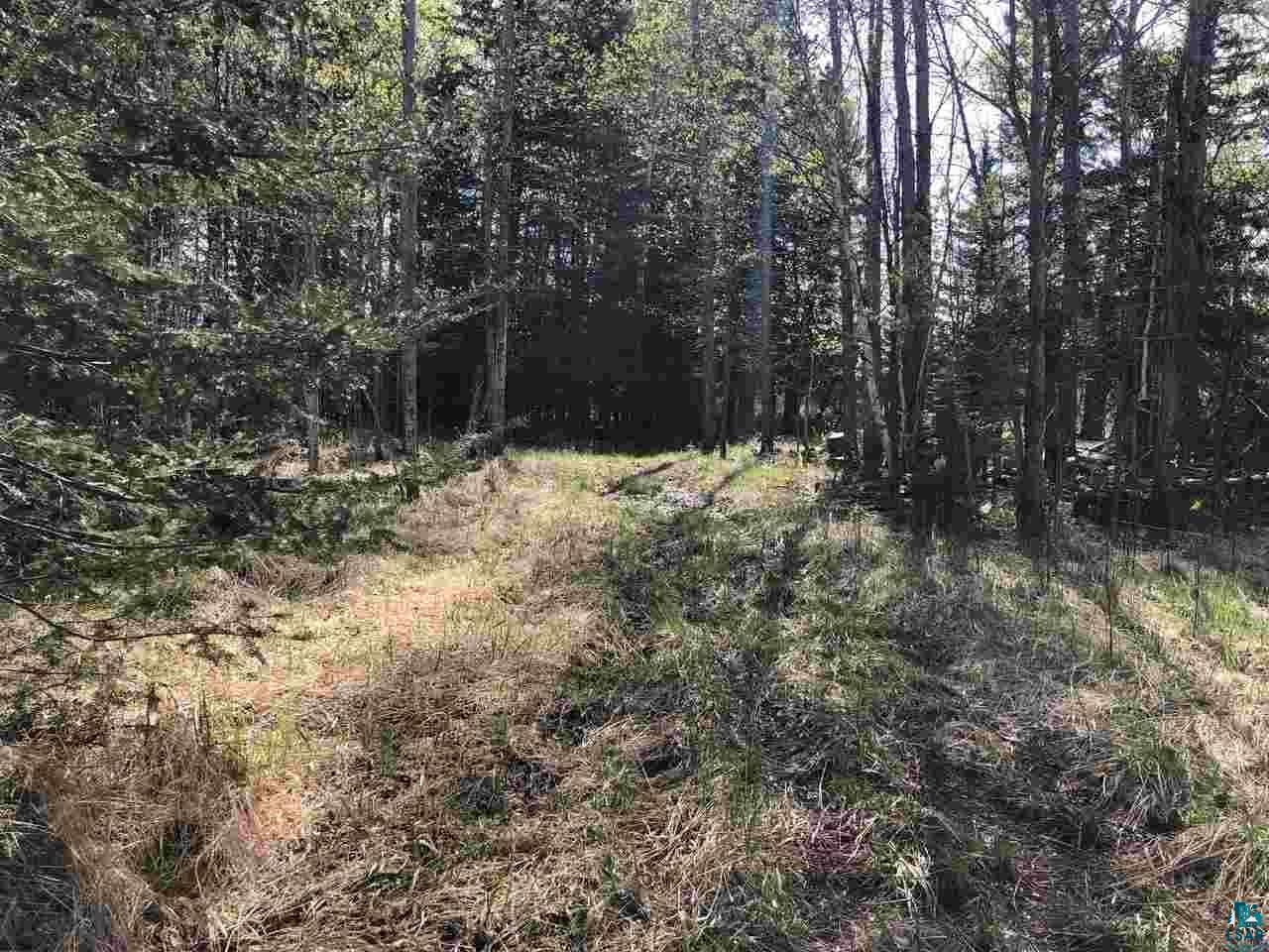 6195 Ryan Road Duluth, MN 55804 - Photo 1 of 1