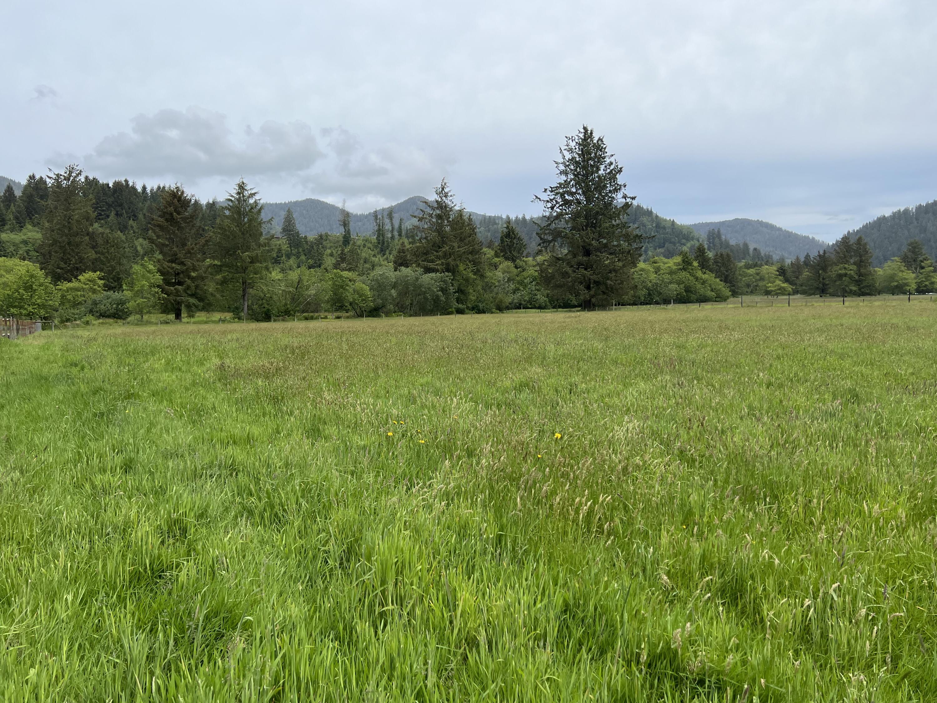 2902 Alderbrook Road Tillamook, OR 97141 - Photo 19 of 26 IMG_1909