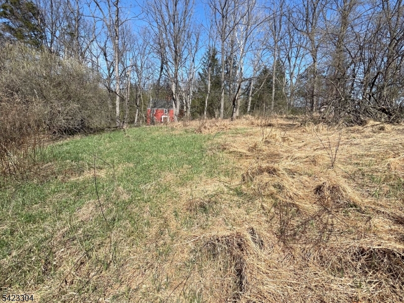 569 Ervey Road Andover, NJ 07821 - Photo 11 of 14 a view of yard covered with trees