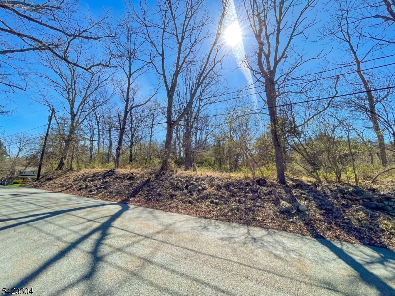 569 Ervey Road Andover, NJ 07821 - Photo 2 of 14