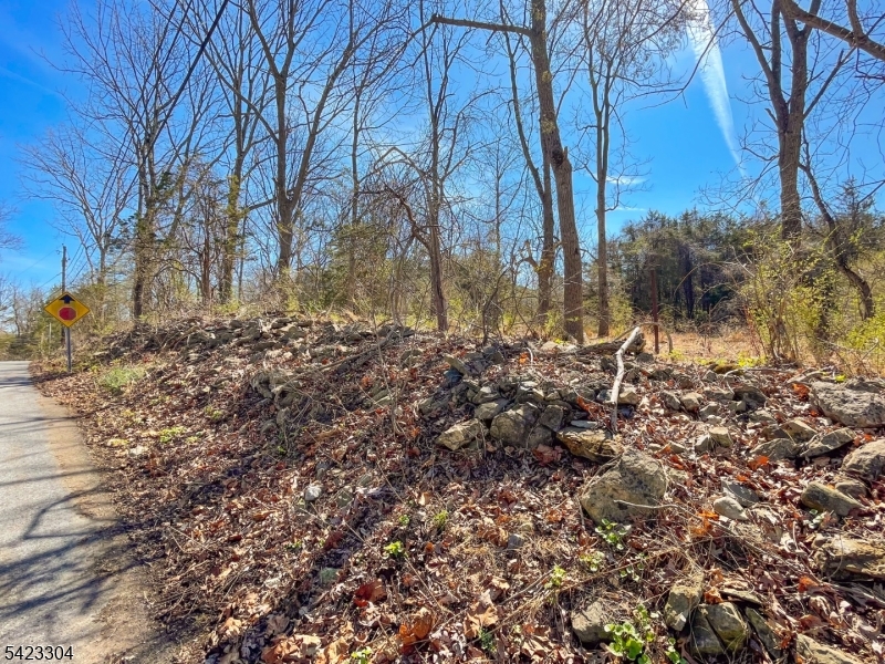 569 Ervey Road Andover, NJ 07821 - Photo 3 of 14