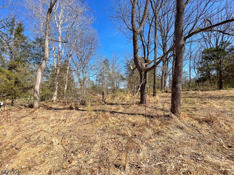 569 Ervey Road Andover, NJ 07821 - Photo 4 of 14