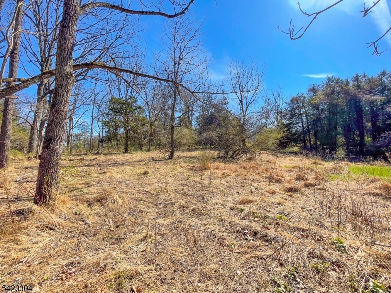 569 Ervey Road Andover, NJ 07821 - Photo 5 of 14